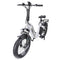 Hidoes BF1 20" Folding E-Bike – 750W Motor, 48V Battery, Fat Tires, Disc Brakes, Shimano 7-Speed