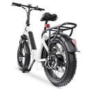 Hidoes BF1 20" Folding E-Bike – 750W Motor, 48V Battery, Fat Tires, Disc Brakes, Shimano 7-Speed