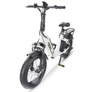 Hidoes BF1 20" Folding E-Bike – 750W Motor, 48V Battery, Fat Tires, Disc Brakes, Shimano 7-Speed