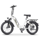 Hidoes BF1 20" Folding E-Bike – 750W Motor, 48V Battery, Fat Tires, Disc Brakes, Shimano 7-Speed