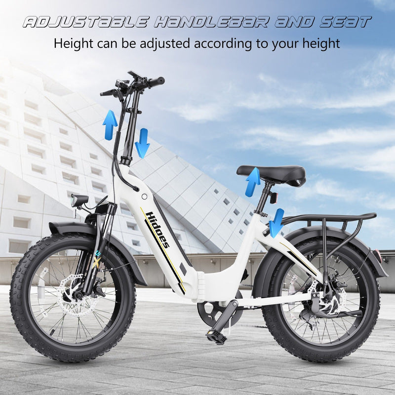 Hidoes BF1 20" Folding E-Bike – 750W Motor, 48V Battery, Fat Tires, Disc Brakes, Shimano 7-Speed