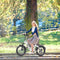 Hidoes BF1 20" Folding E-Bike – 750W Motor, 48V Battery, Fat Tires, Disc Brakes, Shimano 7-Speed