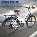 HIDOES BN1 Electric Bike 800W 48V 13AH 27.5" MTB, 40-70 KM/H, Shimano 7-Speed